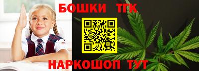 Альфа ПВП Будённовск
