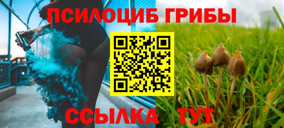 Псилоцибиновые грибы MAGIC MUSHROOMS Волгодонск